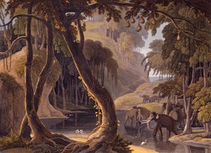 Cena em Sitsikamma - elefantes com garças em uma piscina, de &39;African Scenery and Animals&39;, 1804-05